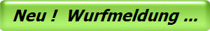 Neu !  Wurfmeldung ...